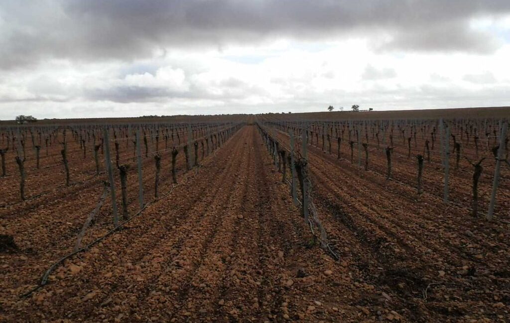 615_fincas-en-venta-008