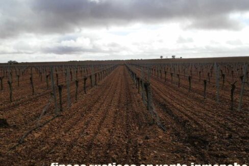 615_fincas-en-venta-008