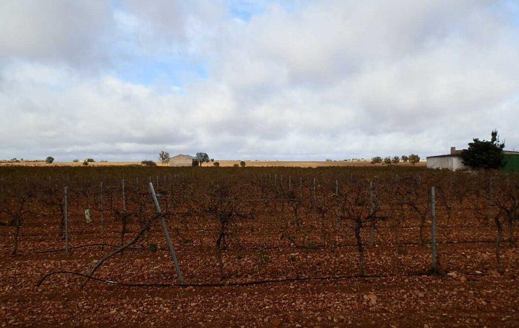 615_fincas-en-venta-009