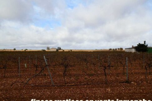615_fincas-en-venta-009