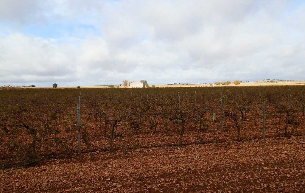 615_fincas-en-venta-010