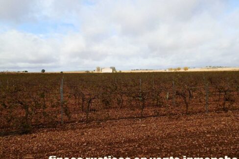 615_fincas-en-venta-010