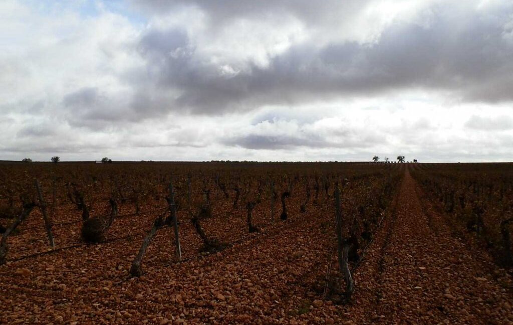 615_fincas-en-venta-012