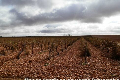 615_fincas-en-venta-013