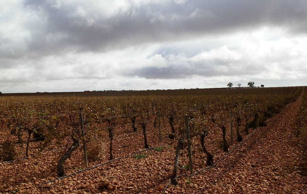 615_fincas-en-venta-014