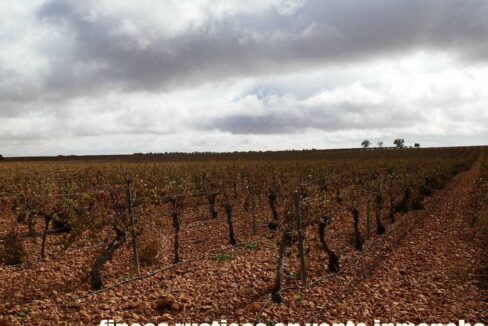 615_fincas-en-venta-014