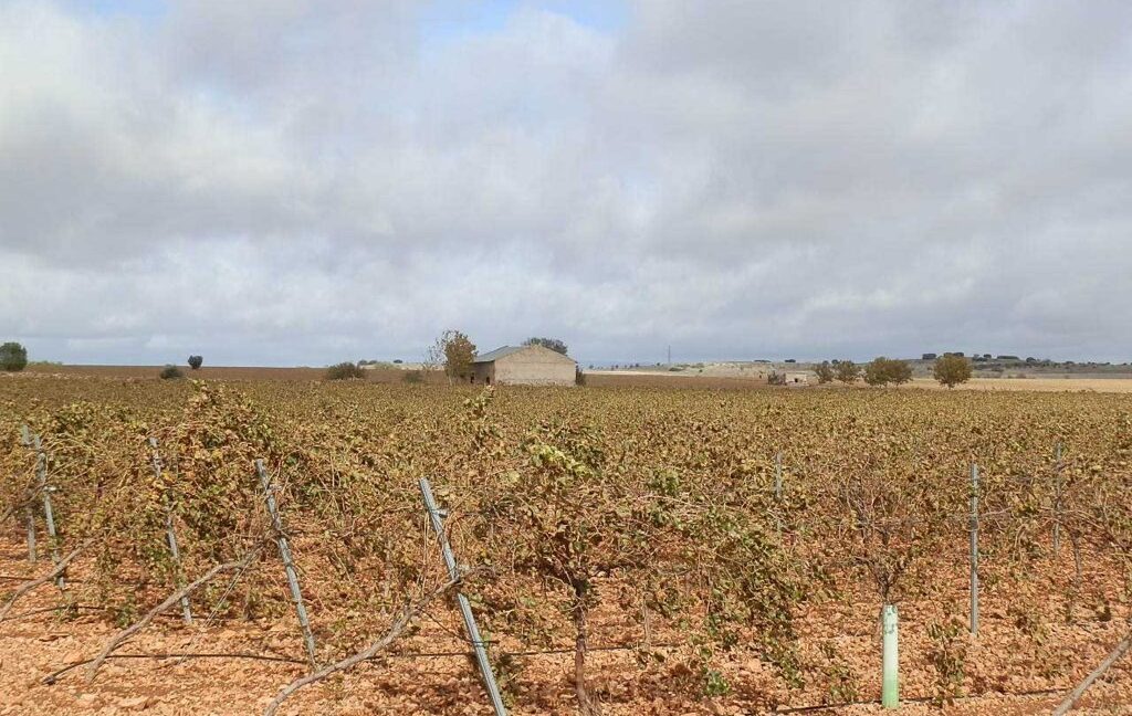 615_fincas-en-venta-015