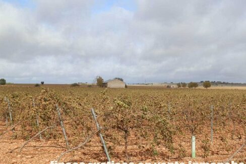 615_fincas-en-venta-015