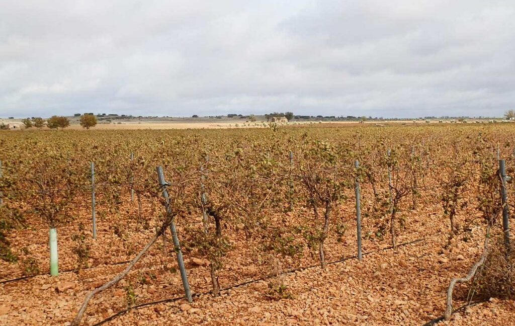 615_fincas-en-venta-016