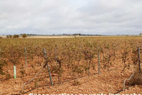 615_fincas-en-venta-016