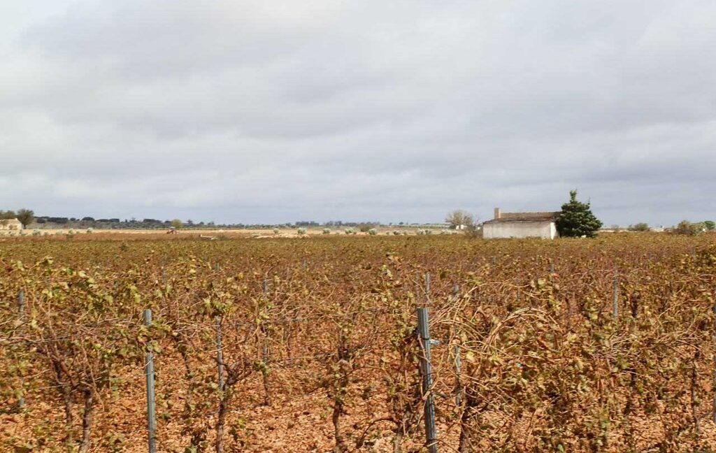 615_fincas-en-venta-017