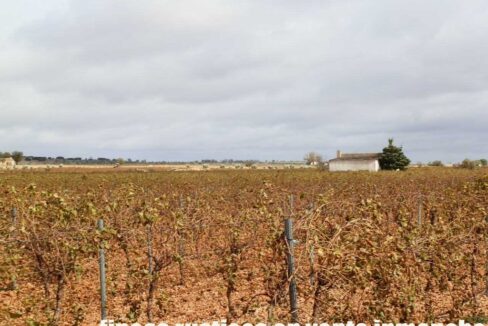 615_fincas-en-venta-017