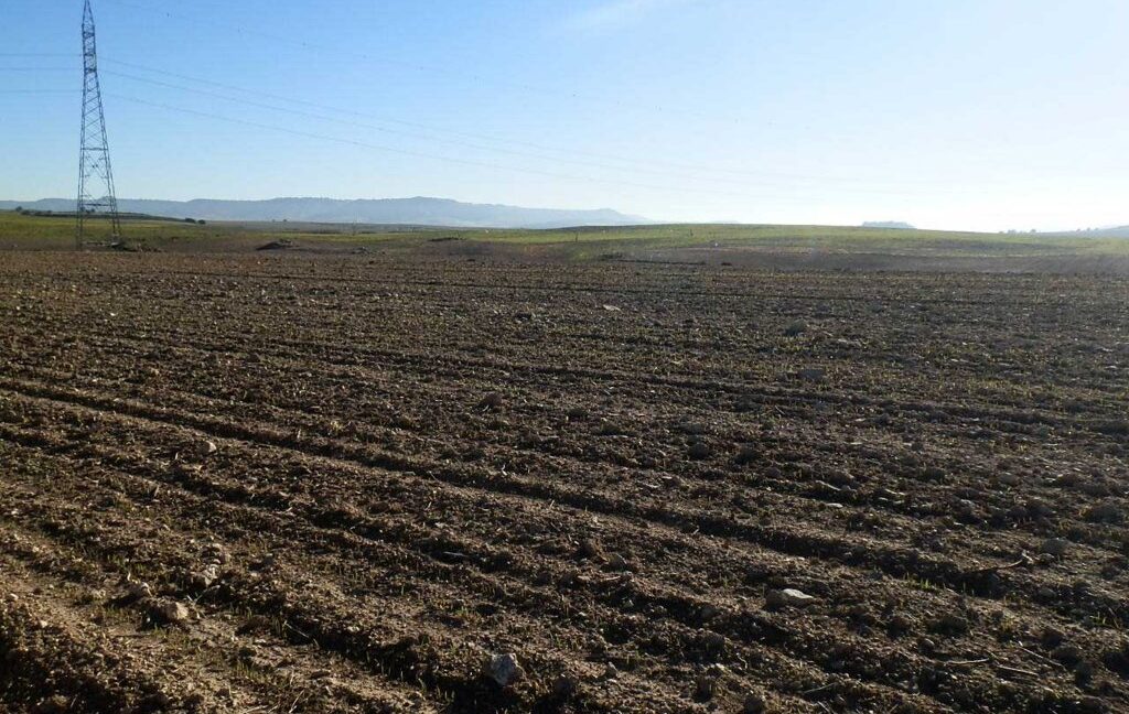 617_fincas-en-venta-01