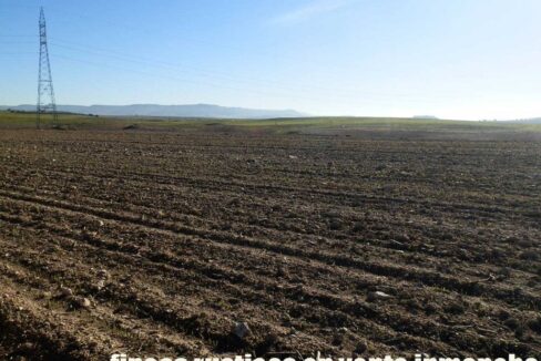 617_fincas-en-venta-01