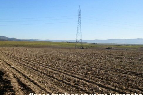 617_fincas-en-venta-02