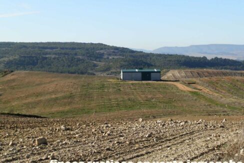 617_fincas-en-venta-03
