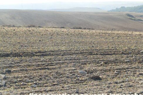 617_fincas-en-venta-04