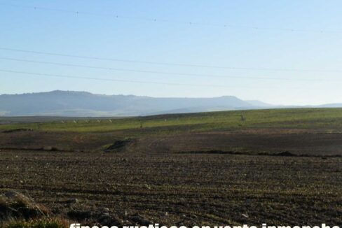 617_fincas-en-venta-05