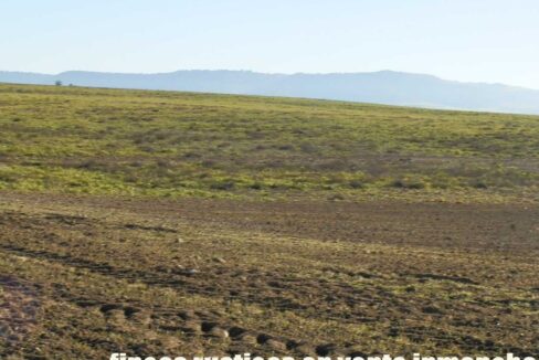 617_fincas-en-venta-09