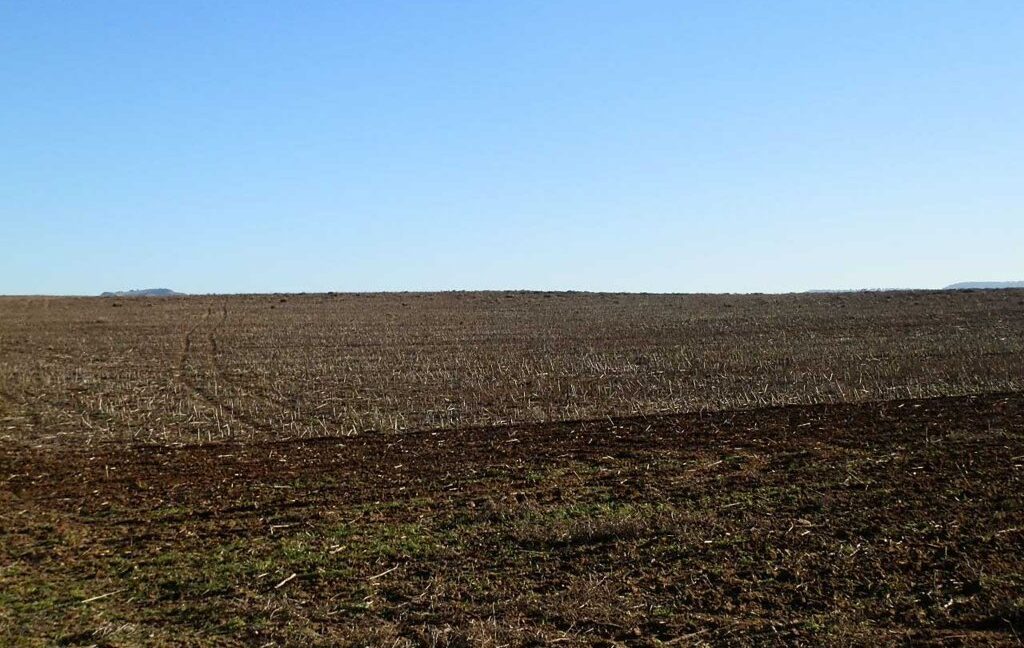 617_fincas-en-venta-10