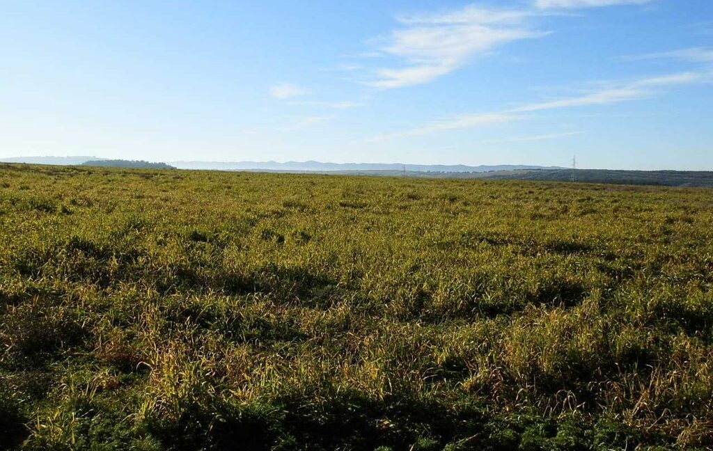 617_fincas-en-venta-12