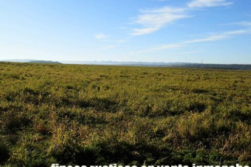 617_fincas-en-venta-12