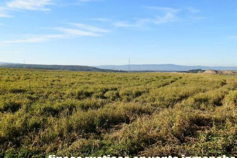 617_fincas-en-venta-13