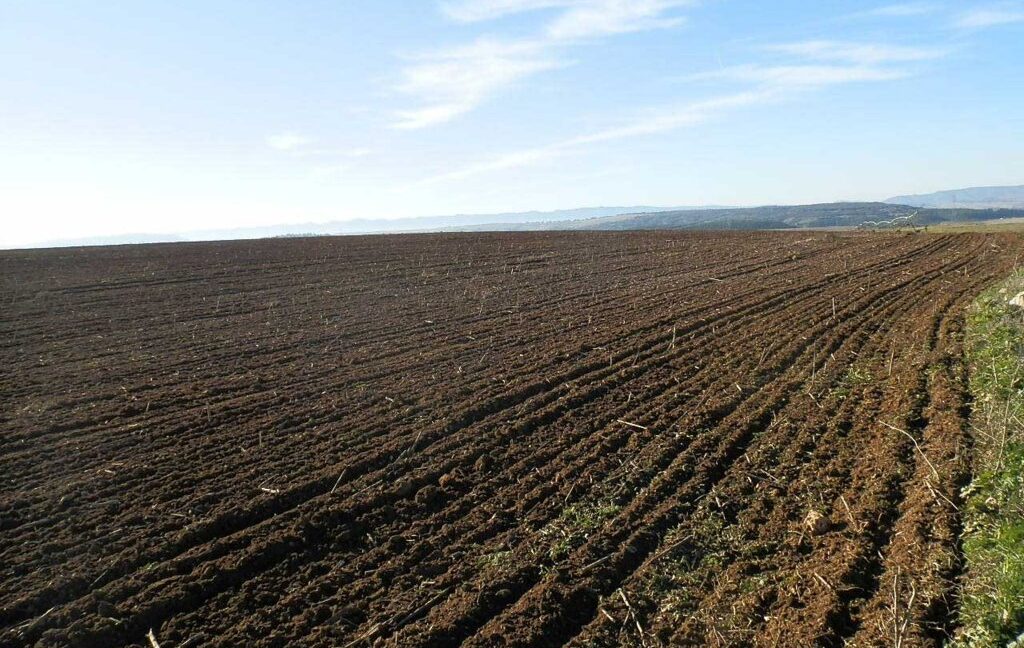 617_fincas-en-venta-14