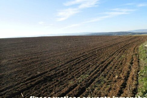 617_fincas-en-venta-14