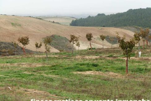 617_fincas-en-venta-43