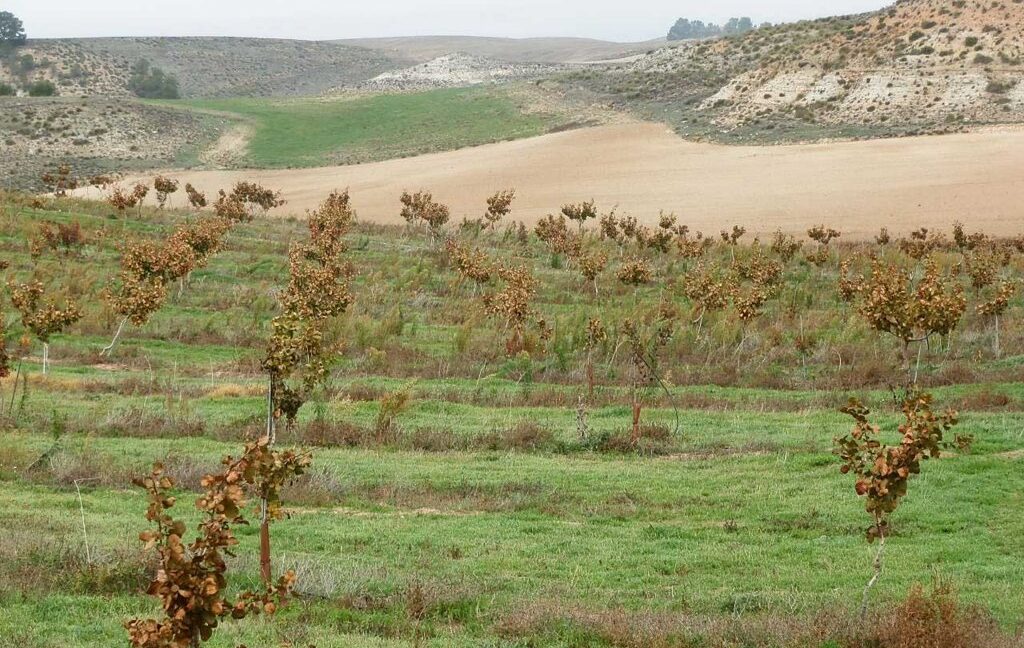 617_fincas-en-venta-44