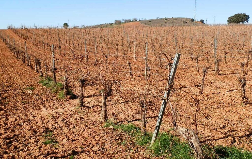 618_fincas-en-venta-08