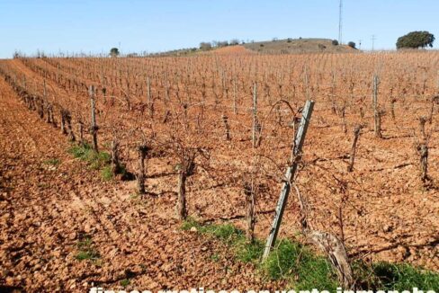 618_fincas-en-venta-08