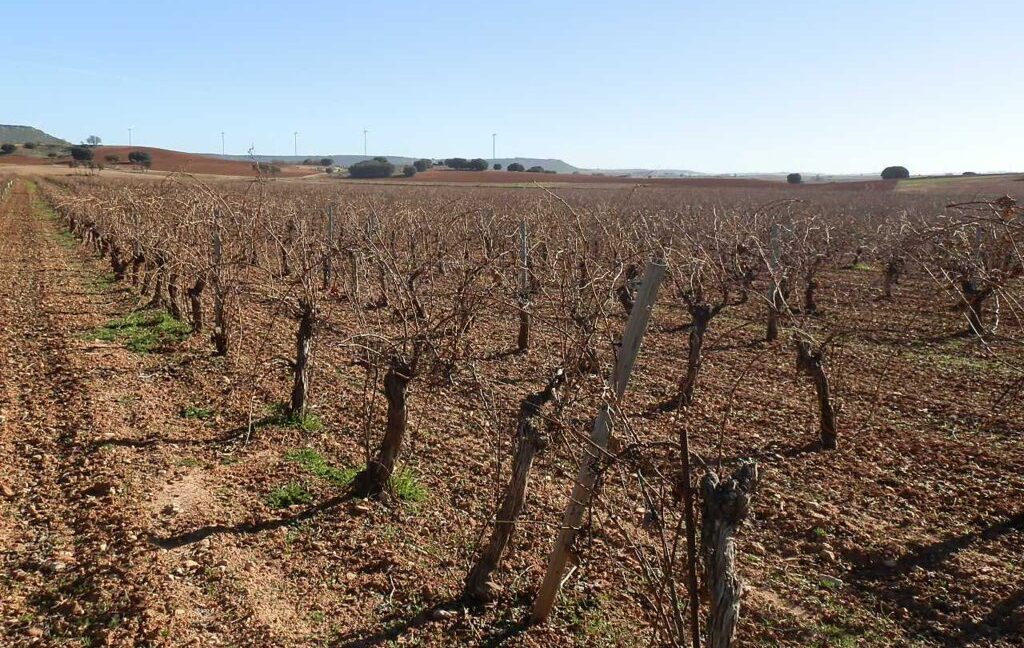 618_fincas-en-venta-09