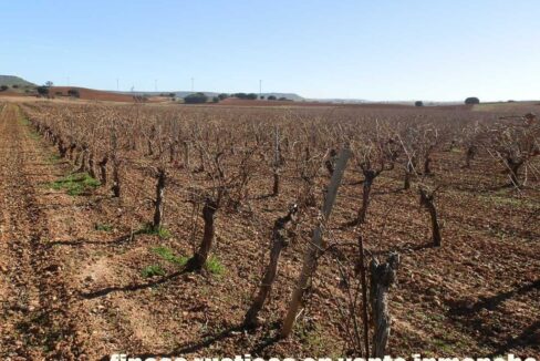 618_fincas-en-venta-09