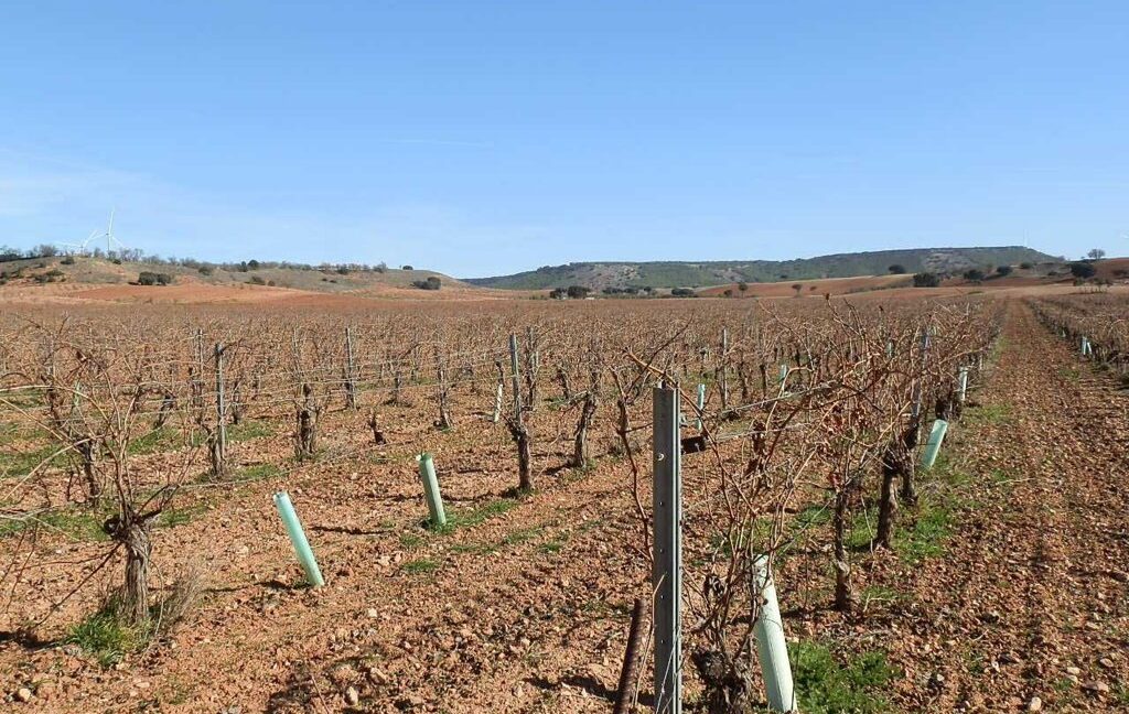 618_fincas-en-venta-11
