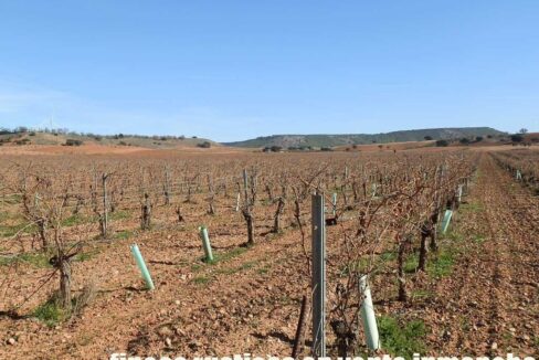 618_fincas-en-venta-11