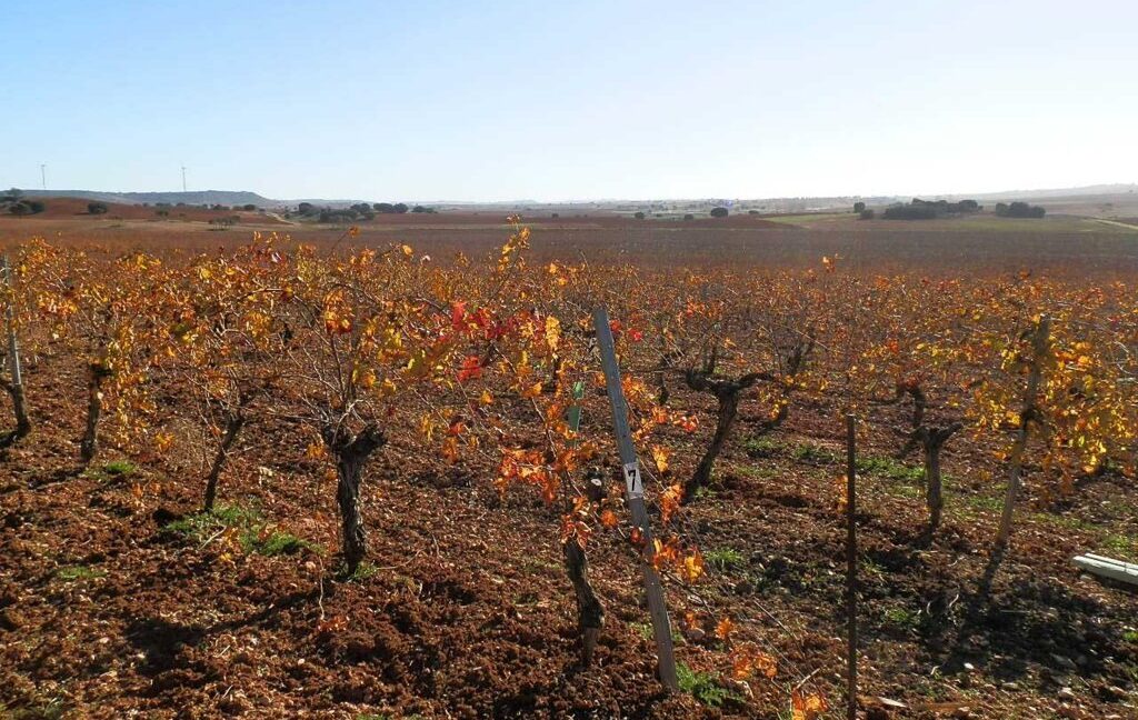 618_fincas-en-venta-12