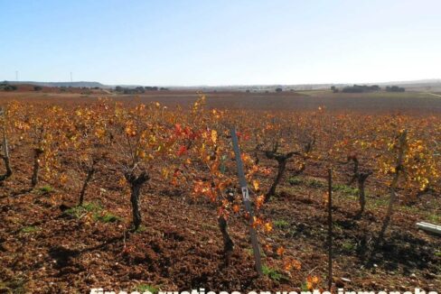 618_fincas-en-venta-12