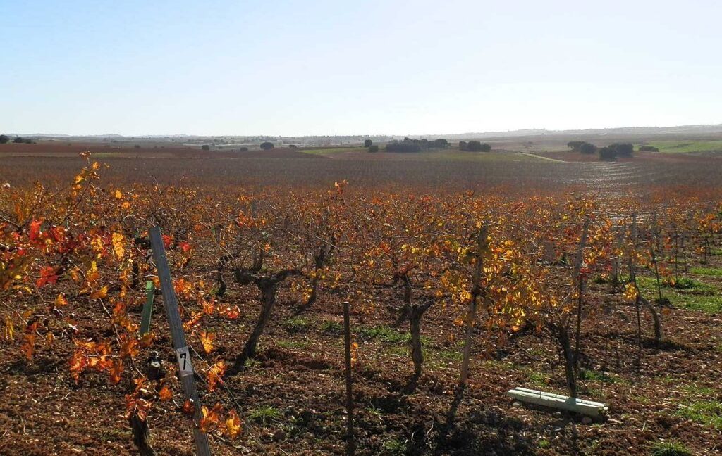 618_fincas-en-venta-13