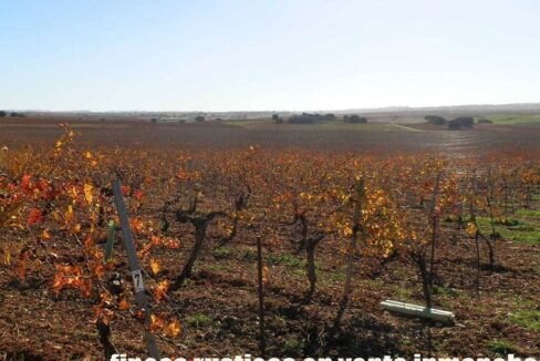 618_fincas-en-venta-13