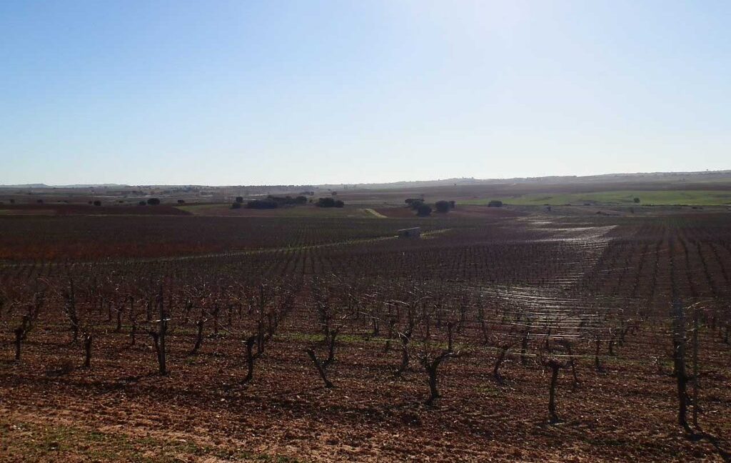 618_fincas-en-venta-14