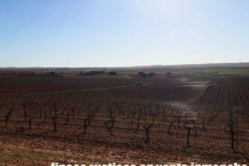 618_fincas-en-venta-14