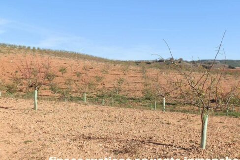 618_fincas-en-venta-15