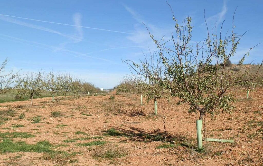 618_fincas-en-venta-18