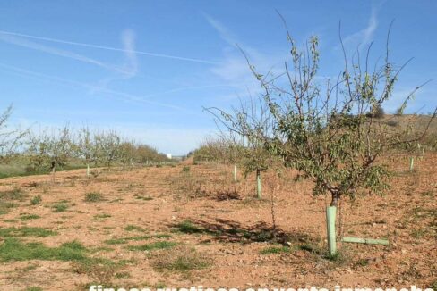 618_fincas-en-venta-18