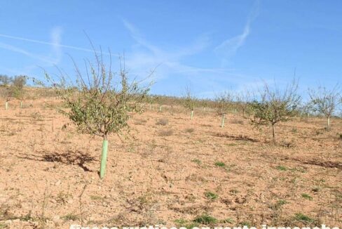 618_fincas-en-venta-19