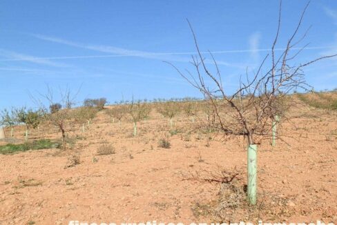 618_fincas-en-venta-20