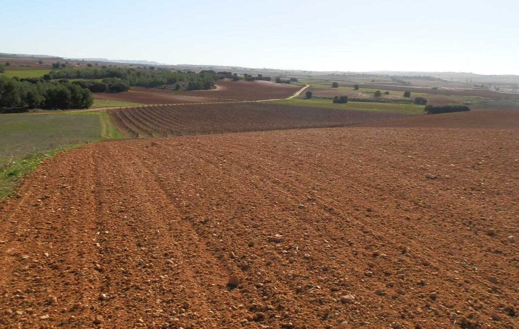 618_fincas-en-venta-27