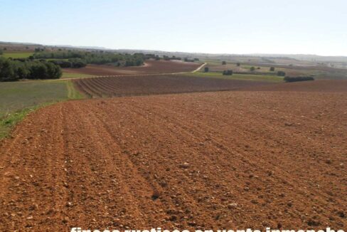 618_fincas-en-venta-27
